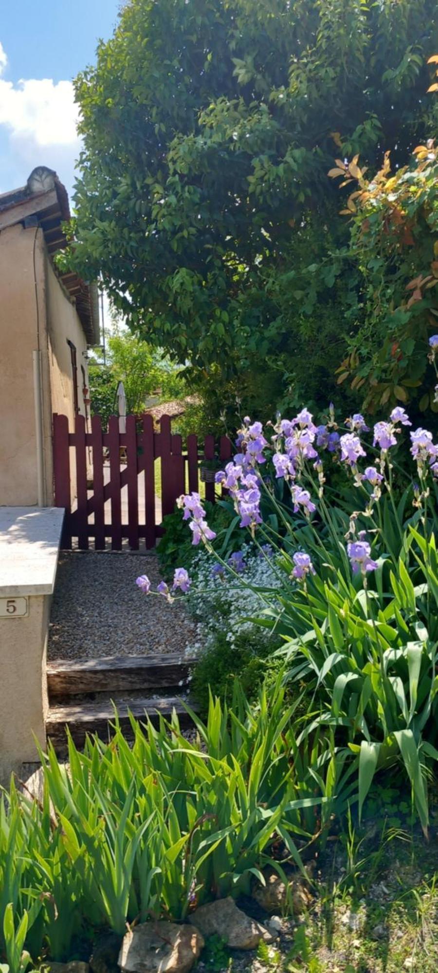 La Maison Du Tourniquet Aubeterre-sur-Dronne Exterior foto